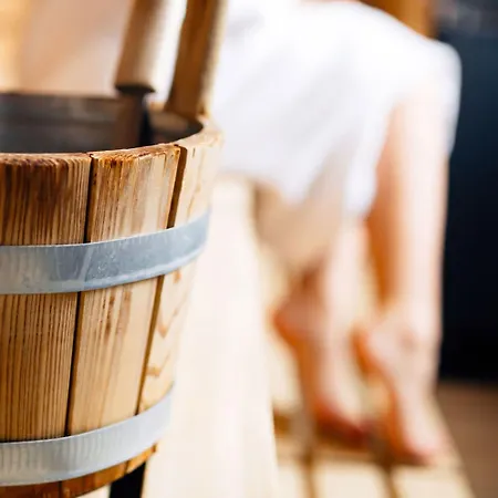 Haidvogl Mavida Zell Am 4*