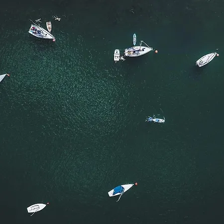 هايدفوجل مافيدا تسل أم زي