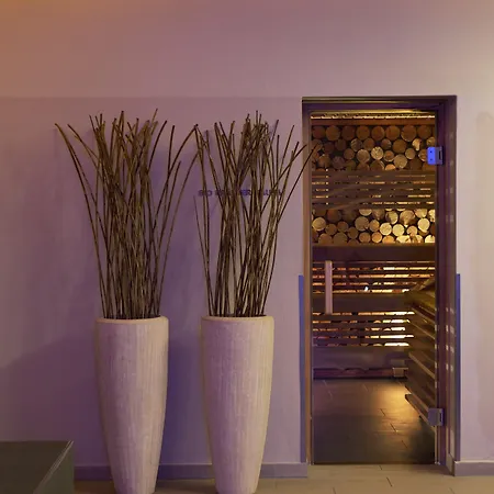 Haidvogl Mavida Zell Am 4*