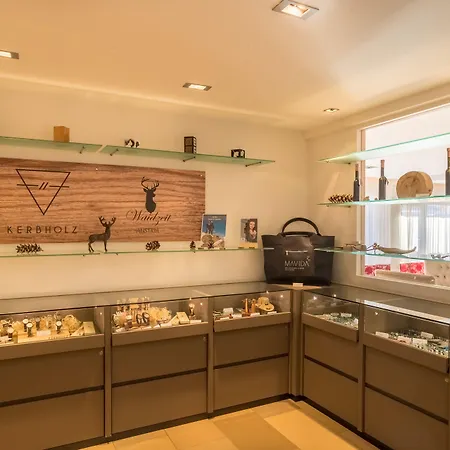 Haidvogl Mavida Zell Am Отель