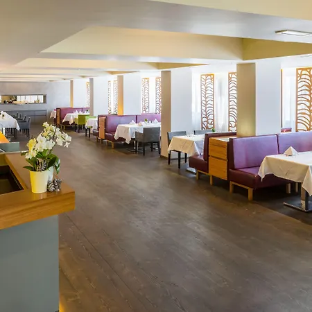 Haidvogl Mavida Zell Am Отель