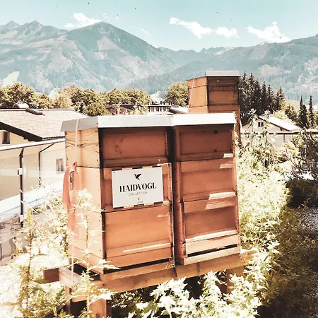 Готель Haidvogl Mavida Zell Am