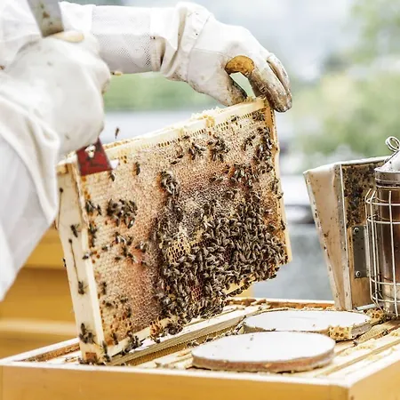 Haidvogl Mavida Zell Am 4* Целль-ам-Зеє