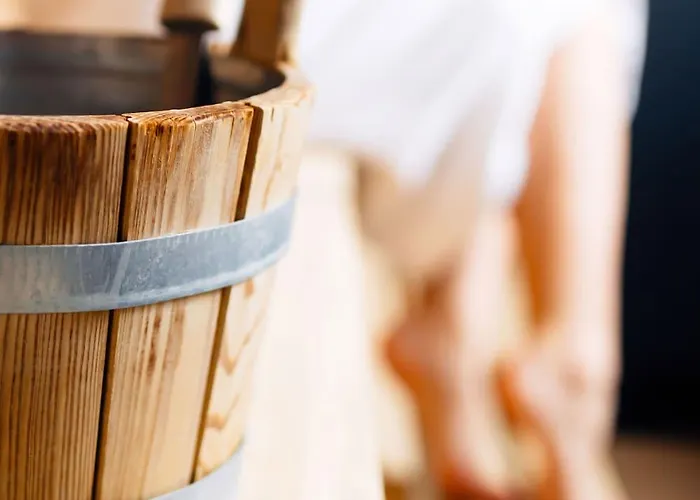 Haidvogl Mavida Zell Am 4*