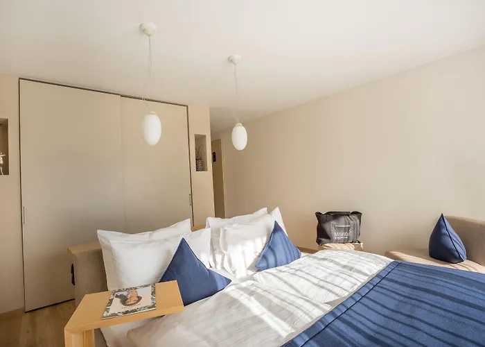 Haidvogl Mavida Zell Am Τσελ αμ Ζέε