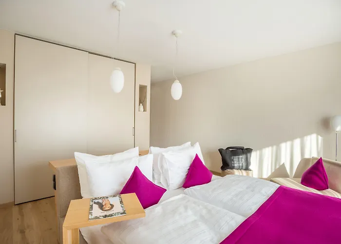 Haidvogl Mavida Zell Am 4*