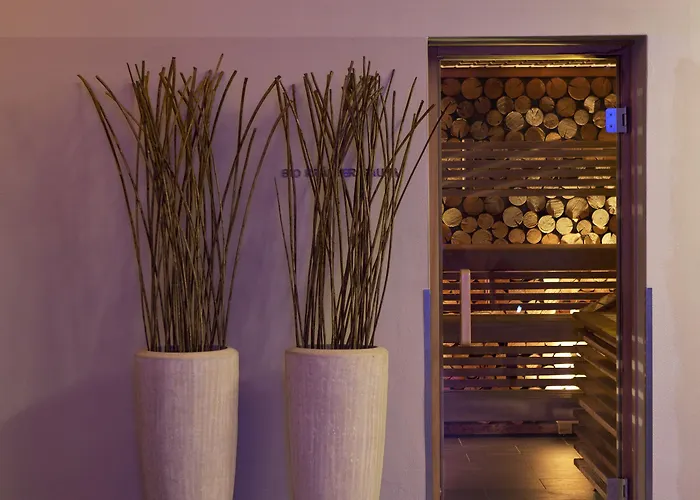 Haidvogl Mavida Zell Am 4*