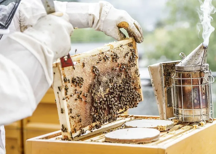 Haidvogl Mavida Zell Am 4* Zell am See