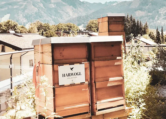 Hotel Haidvogl Mavida Zell Am